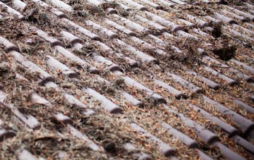 Cobb roof cleaning companies